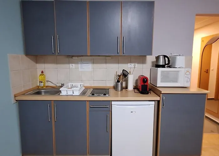 Tuenderrozsa 잘라카로쉬